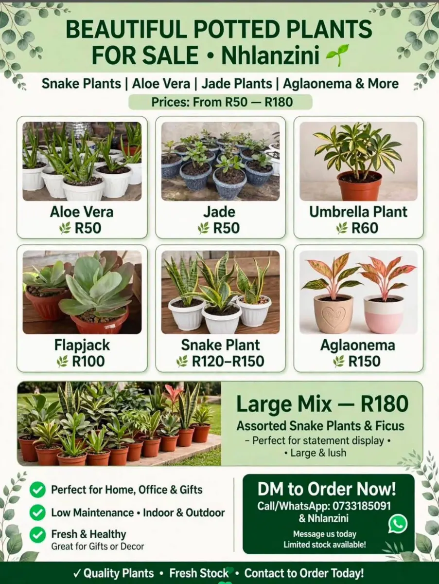 PlantsbyXolile