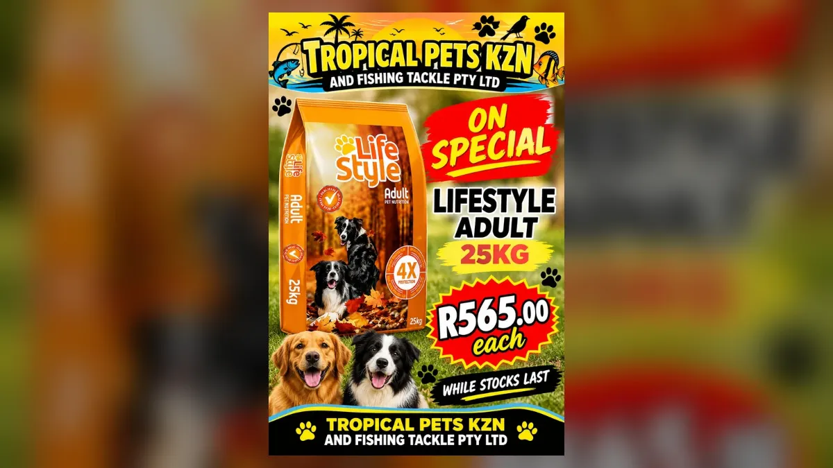 Lifestyle Adult 25kg Dog Food – R565 Each